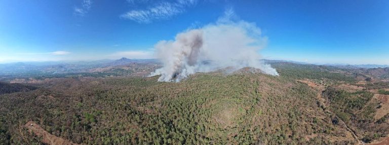 Incendios forestales rebasan los 4 mil 800 en Michoacán