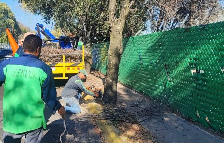 Se trabaja por una ciudad más verde y ordenada