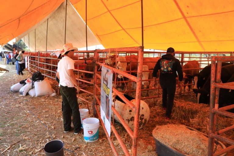 Familias y productores hacen de la Expo Agrotegan 2026 un éxito en Morelia