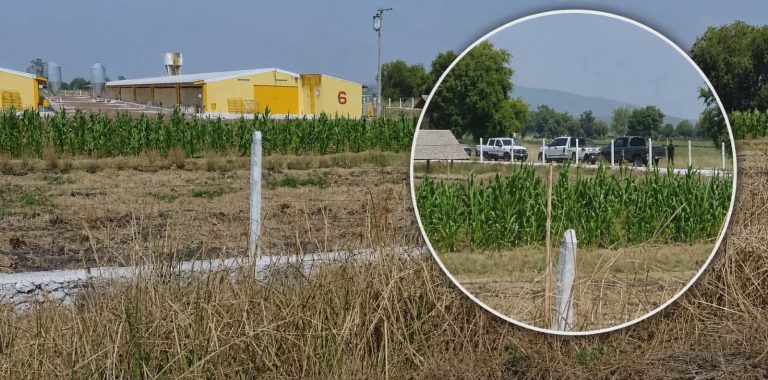 Encuentran a hombre asesinado en Tzintzimeo, Álvaro Obregón