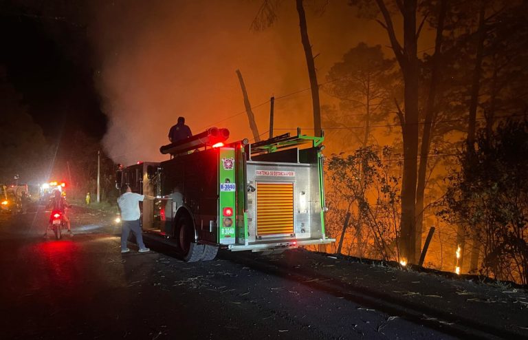 Brigadista muere calcinado al desbarrancar e incendiarse su auto