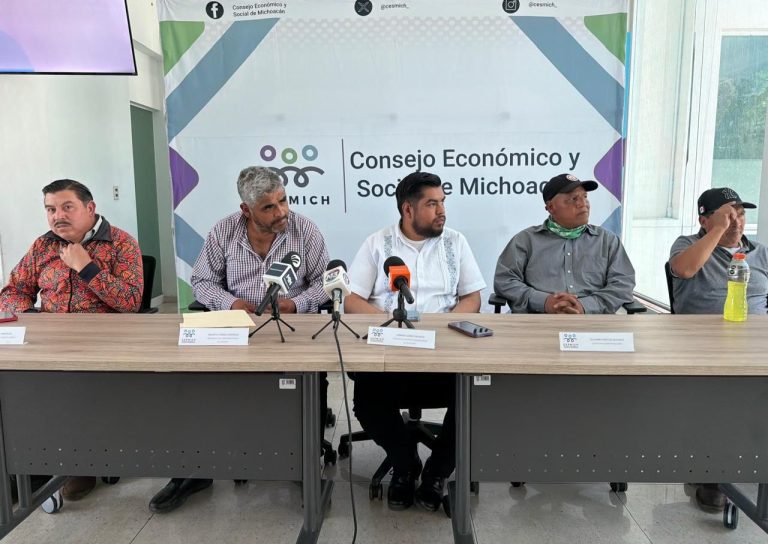Anuncian brigadas de reforestación en santuarios de la Mariposa Monarca en Michoacán