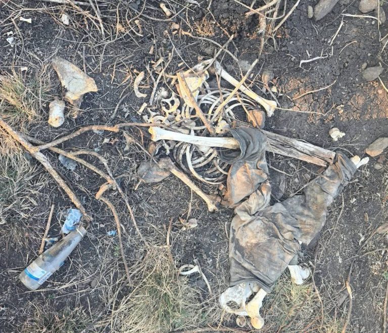 Colectivo localizan dos osamentas en zona cerril de Jacona