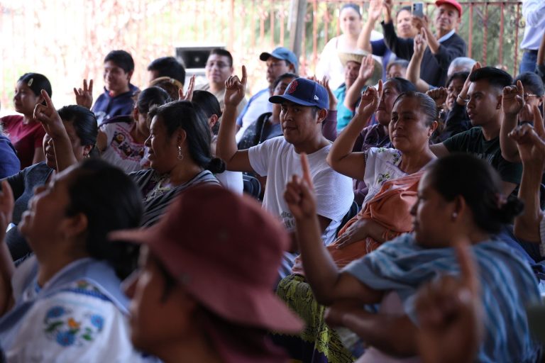 Acompaña IEM consulta en la Isla de Yunuén sobre autogobierno y presupuesto directo