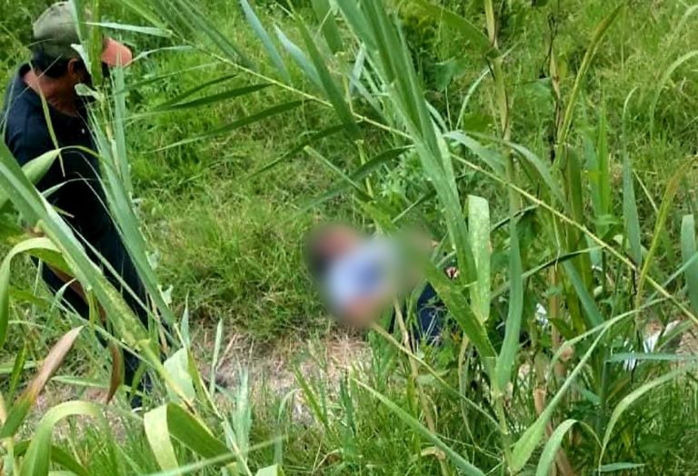 Mujer es atacada por una jauría de perros en la colonia El Arenal de Uruapan