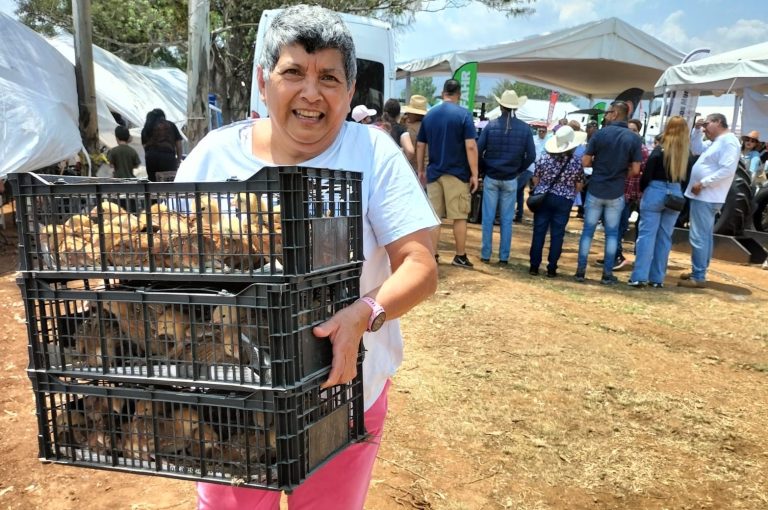 En apoyo al campo, Gobierno de Morelia entrega gallinas ponedoras en la Agrotegan