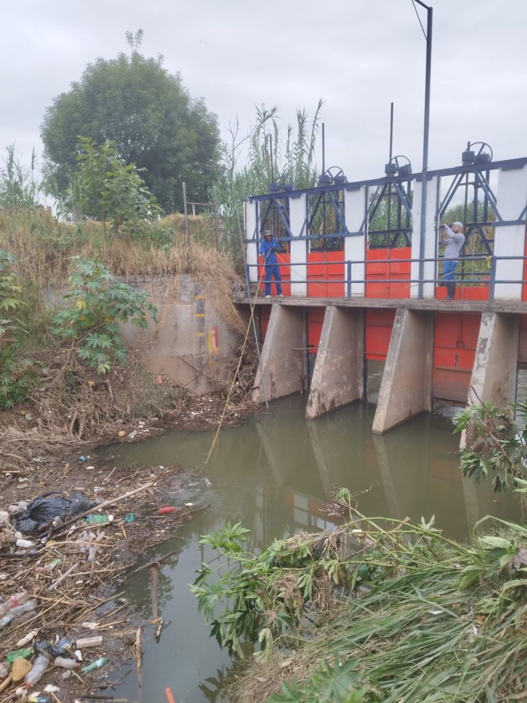 Ayuntamiento redobla limpieza de ríos y drenes