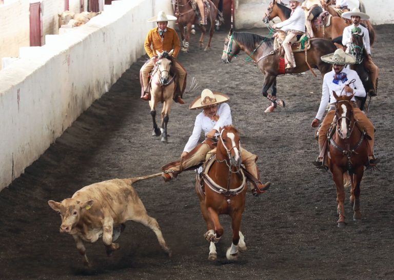 Reconoce Bedolla el valor histórico de la charrería; inaugura Segunda Fase del Campeonato Estatal Charro Michoacán 2026