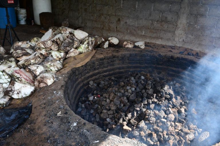 Últimos días para integrarse al nuevo Consejo Michoacano del Mezcal