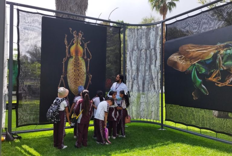 Invita SEE a la exposición Insectus en el Zoológico de Morelia