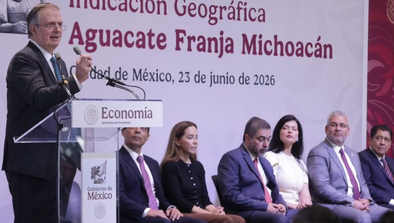 Aguacate michoacano obtiene Indicación Geográfica por IMPI