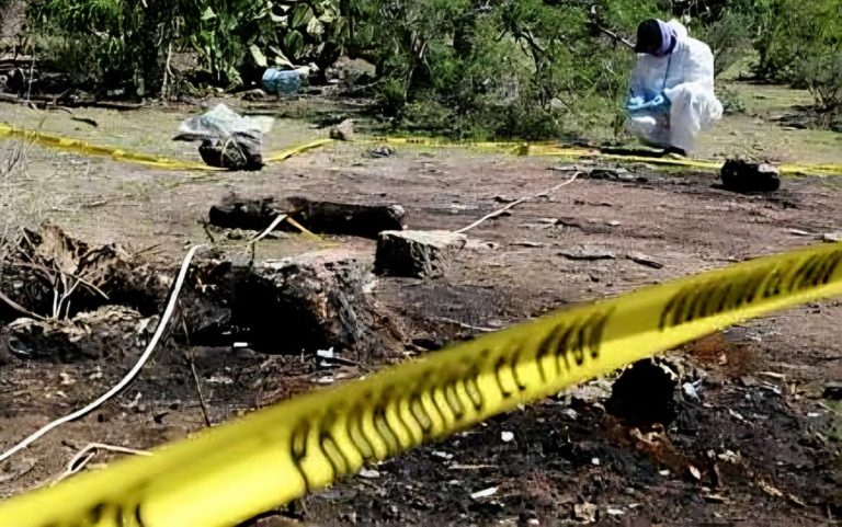 Hallan cráneo humano en zona cerril de Apatzingán