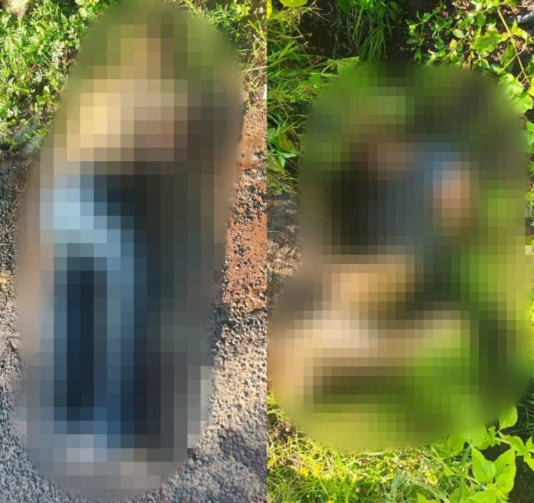 Michoacán cerró junio con cerca de 100 homicidios, en julio van siete