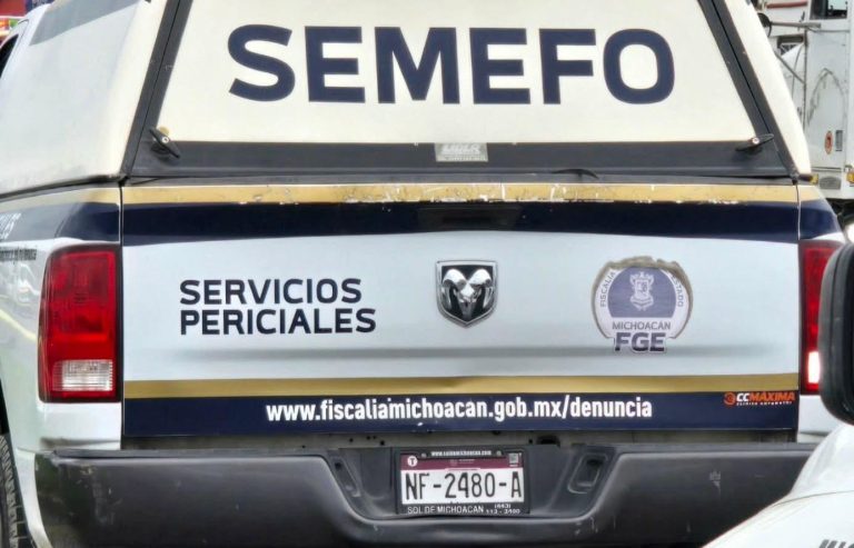 Adolescente sufre mortal descarga eléctrica, en la región de Huaniqueo