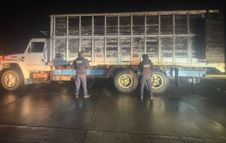 Aseguran camión con aproximadamente 10 metros cúbicos de madera en rollo, en Madero