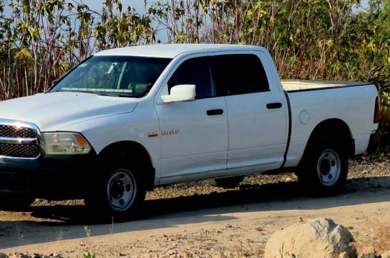 Hallan a hombre asesinado en huerto de aguacate ubicado en la región de Tacámbaro