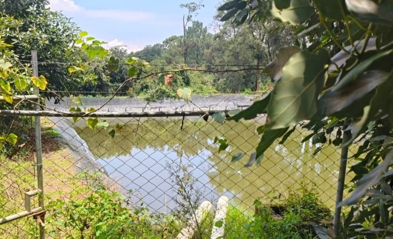 Localizan sin vida y putrefacto a un hombre dentro de una olla agrícola