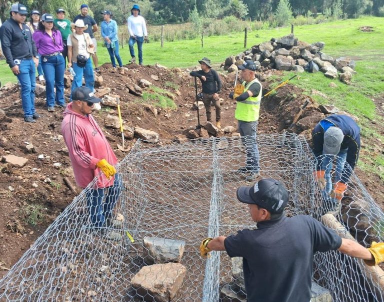 Con 260 presas filtrantes, retienen más de 30 mil metros cúbicos de azolve en lago de Pátzcuaro