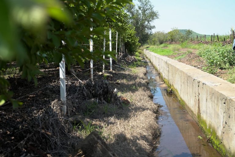 Invierten más de 6.1 mdp para optimizar el uso del agua en cultivos de Taretan