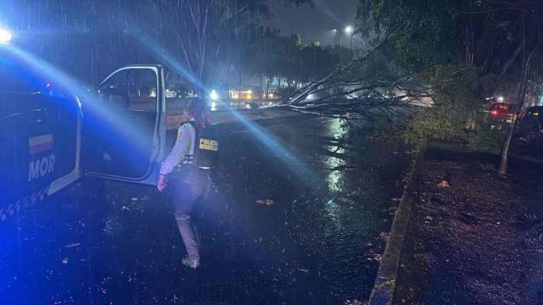 Tormenta eléctrica provoca caída de árboles, inundaciones y cortes de energía en Morelia