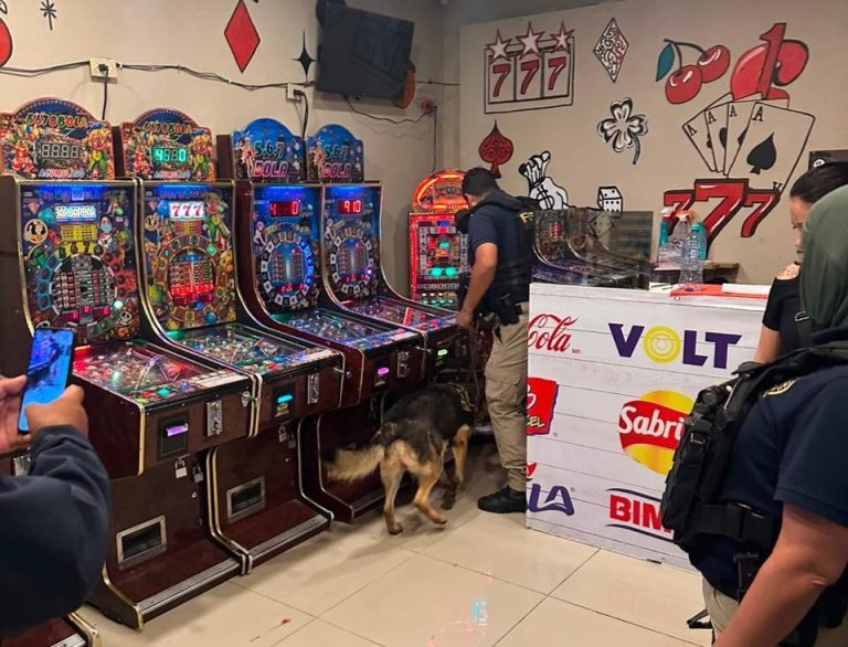 Aseguran 16 máquinas tragamonedas, droga y detienen a mujer en cateo a inmueble en el centro de Morelia