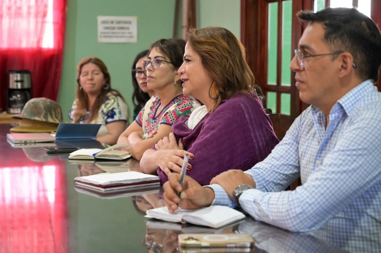 La 4T no le fallará a los pueblos originarios de Michoacán: Fabiola Alanís 