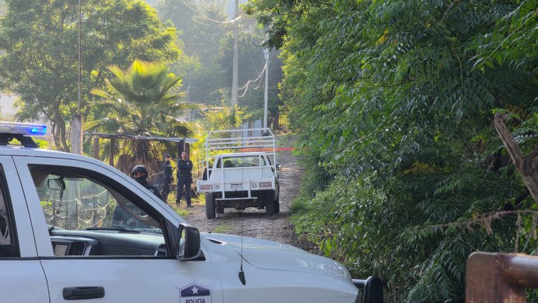 Vendedor de pollos es asesinado a balazos en Zamora
