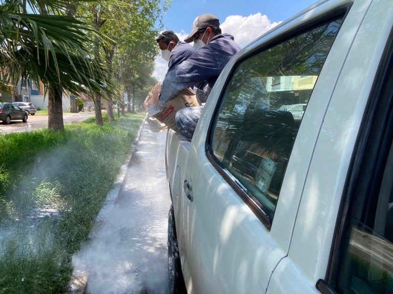 Refuerza ayuntamiento acciones de fumigación en Hacienda Tiníjaro