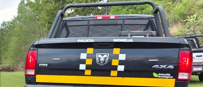 Hecho de violencia empaña fiesta religiosa en San Miguel del Monte; jinete balea a hombre
