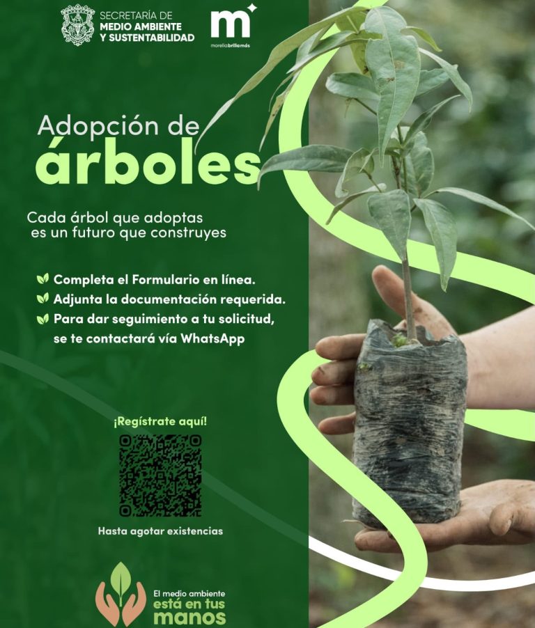 Refuerzan la reforestación urbana con “Adopta un Árbol”