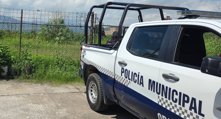 Localizan cadáver baleado en parcelas de Zamora