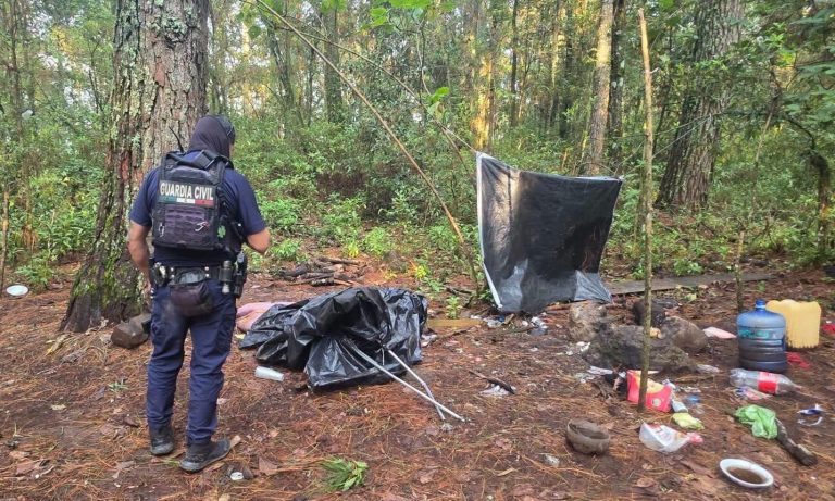 Desmantelan tres narcocampamentos en Salvador Escalante