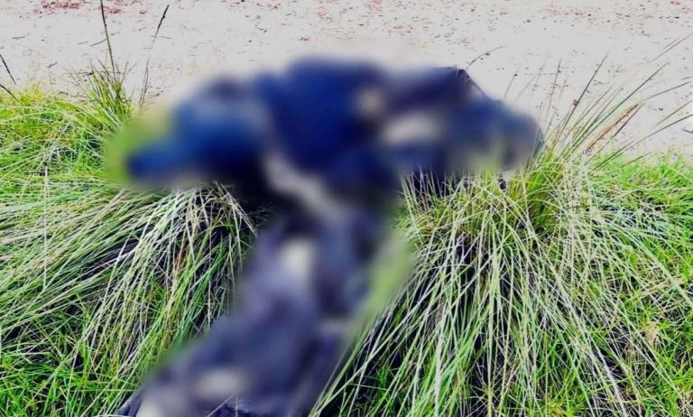 Hallan a hombre asesinado y encobijado cerca de la carretera Epitacio Huerta-Contepec