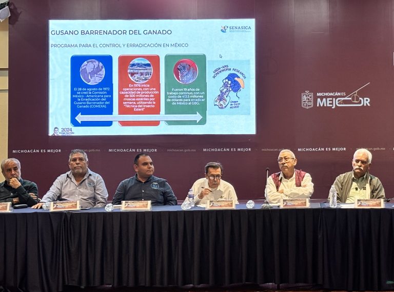 Michoacán suma 571 casos de gusano barrenador; solo uno permanece activo