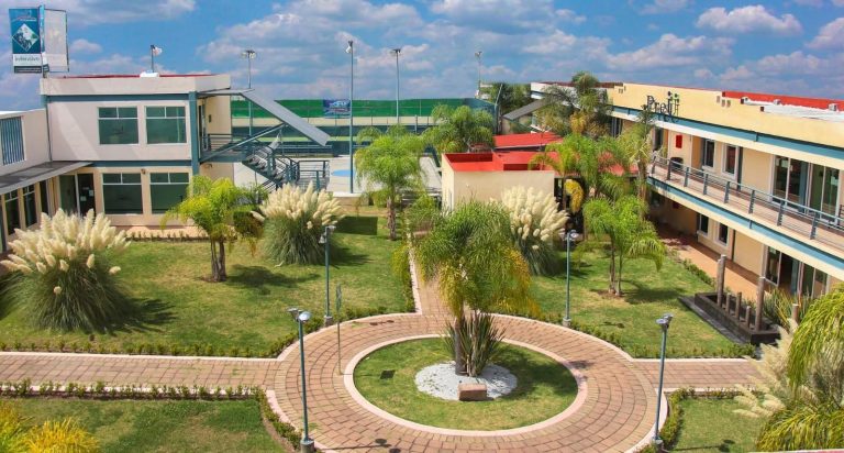 Instituciones de Educación Superior deberán emitir constancia que acredite experiencia adquirida en Servicio Social