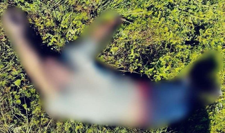 Hallan a un hombre sin vida en un camino rural de Ario de Rosales
