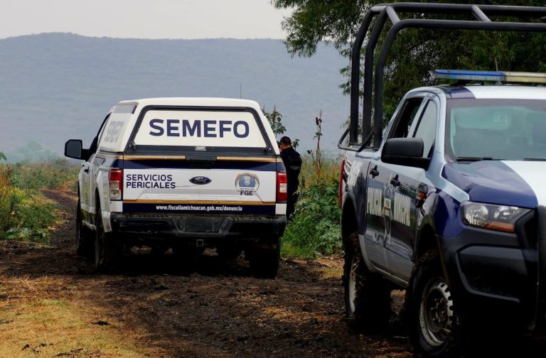 Hallan cadáver putrefacto en parcela de Zamora