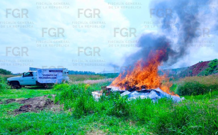 Destruyen más de mil objetos del delito asegurados en Michoacán