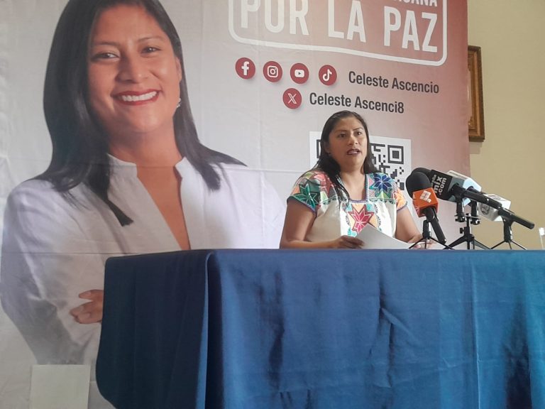 Michoacán requiere gobiernos que escuchen y cumplan: presenta Celeste Ascencio decálogo