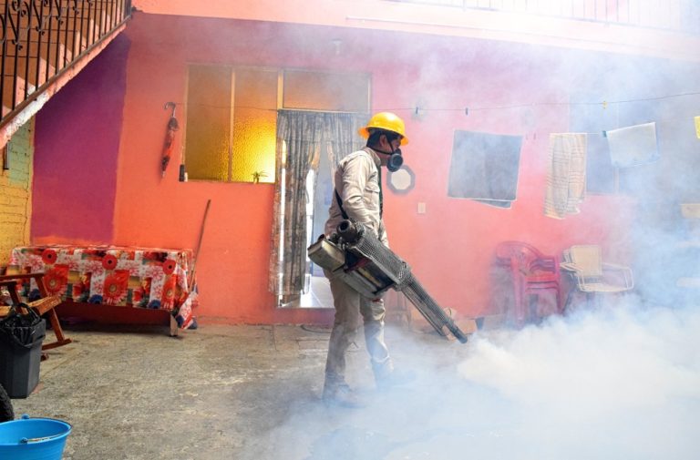 Michoacán reduce en 84% los casos de dengue