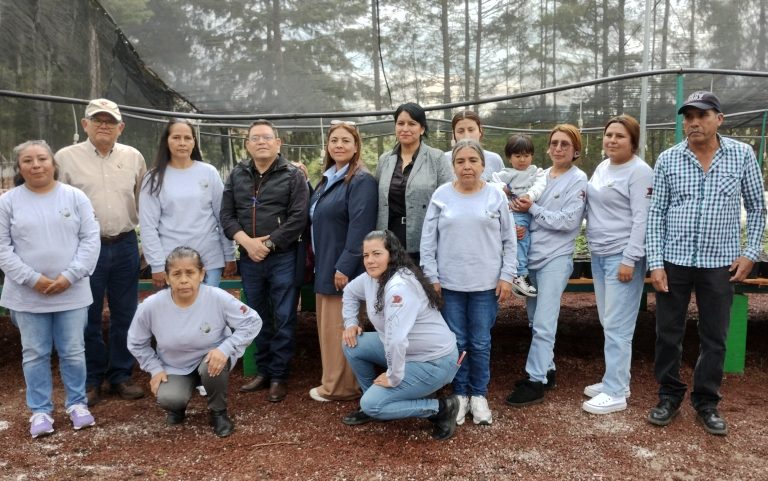Impulsan viveros comunitarios operados por mujeres para fortalecer la restauración forestal en Tlalpujahua y Senguio