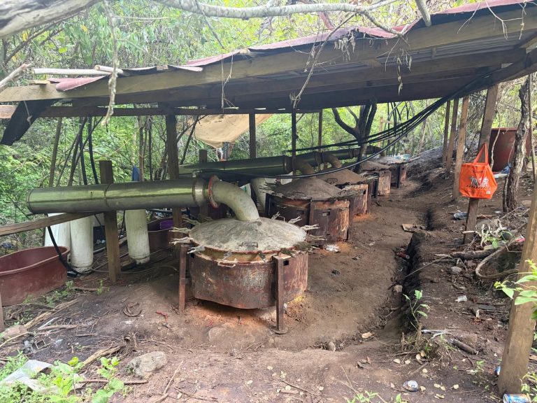 Detienen a 15 presuntos delincuentes, aseguran 3 laboratorios y armamento en Michoacán