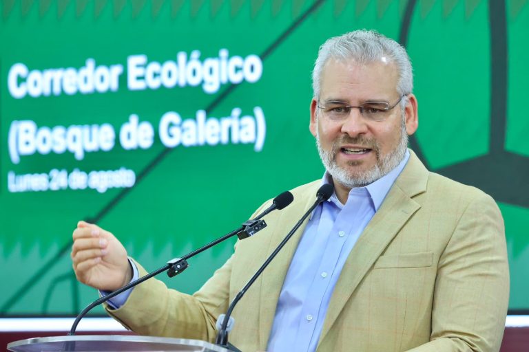 Trasplante de árboles elevará costo del Morebús; aún no hay monto definido