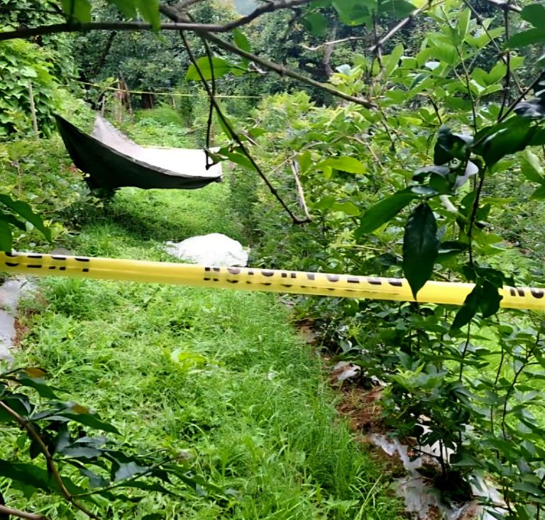 Localizan a hombre sin vida en una huerta de zarzamora, en Tacámbaro