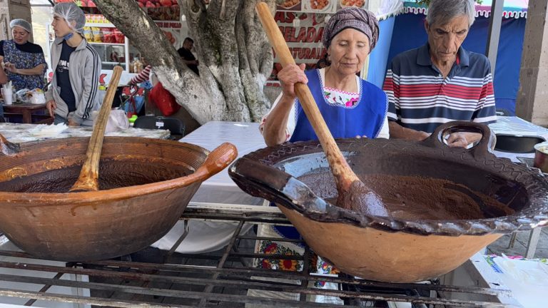 Registró una afluencia de 7 mil visitantes la 19 Feria del Mole de Santa María de Guido