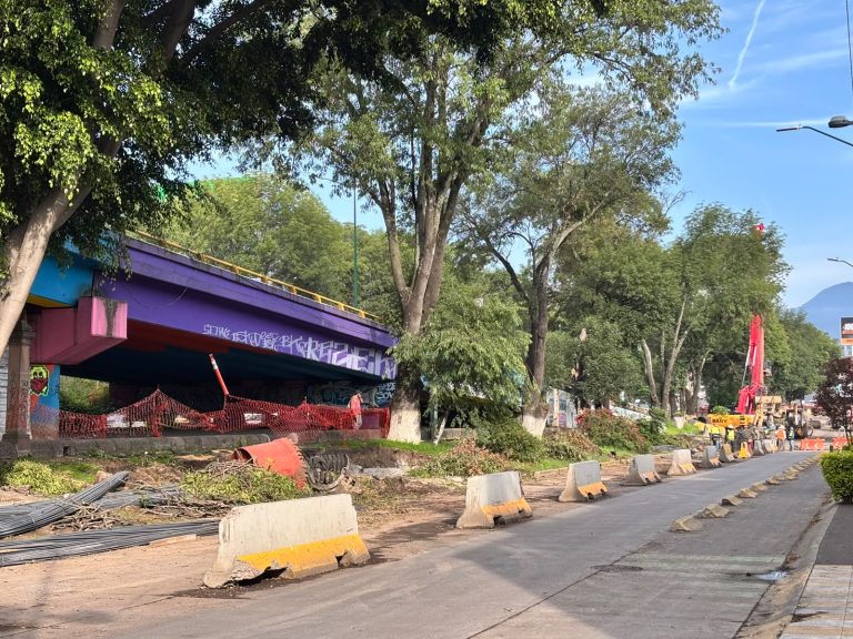 Ciudadanos protestan contra tala de 613 árboles por obras del Morebús en Morelia