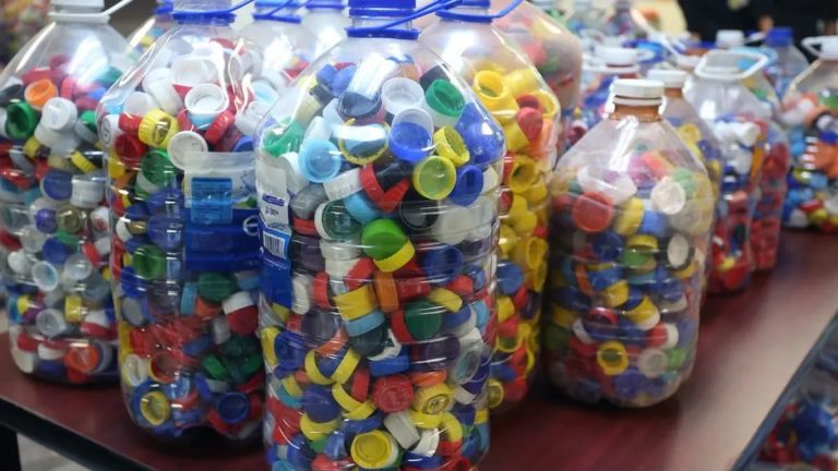 Sefeco invita a niñas y niños al Canje de Tapas PET con causa