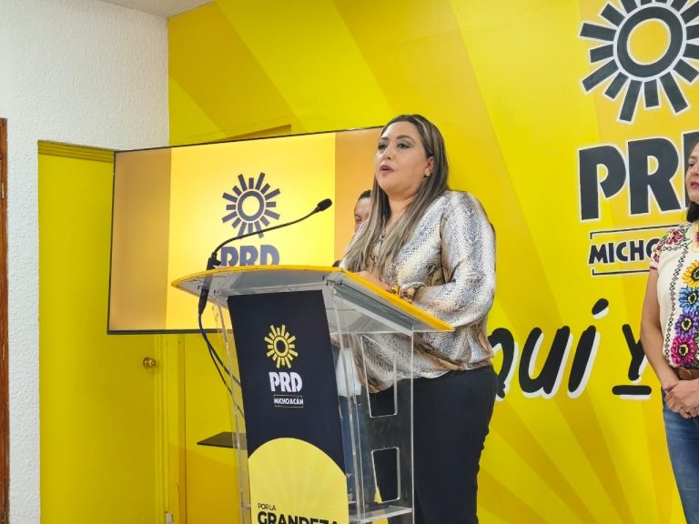 En diálogo con ecologistas, Gobierno debe poner sobre la mesa dictámenes ambientales: PRD