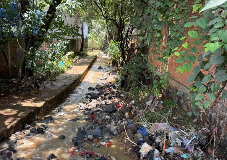 Detectan 7.5 kilómetros invadidos en el borde del río Guani, en Pátzcuaro