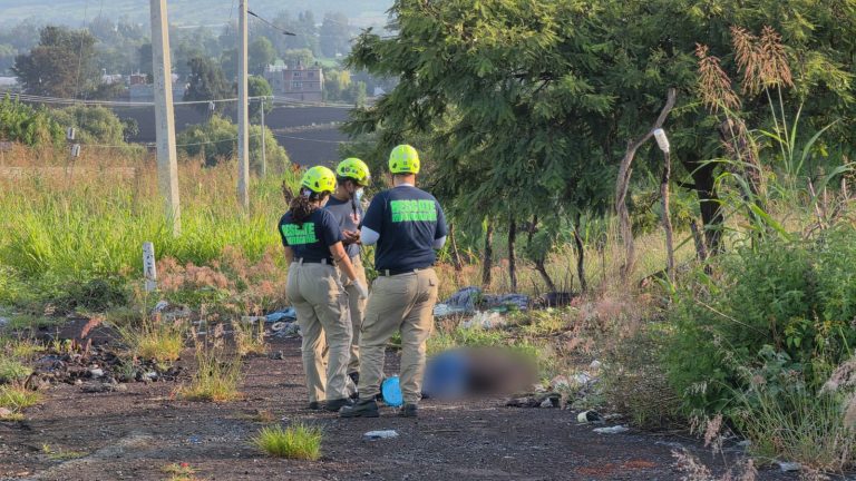 Abandonan cadáver baleado de una mujer, en el Libramiento Norte de Zamora
